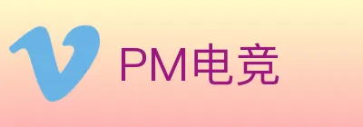 PM电竞 logo